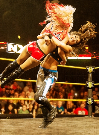 WWE NXT: From Secret to Sensation Poster